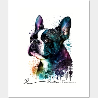 Boston Terrier Love Posters and Art